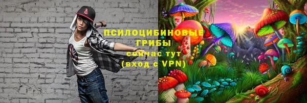 мескалин Вязьма