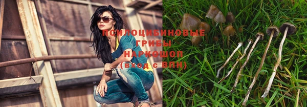 jwh Вяземский